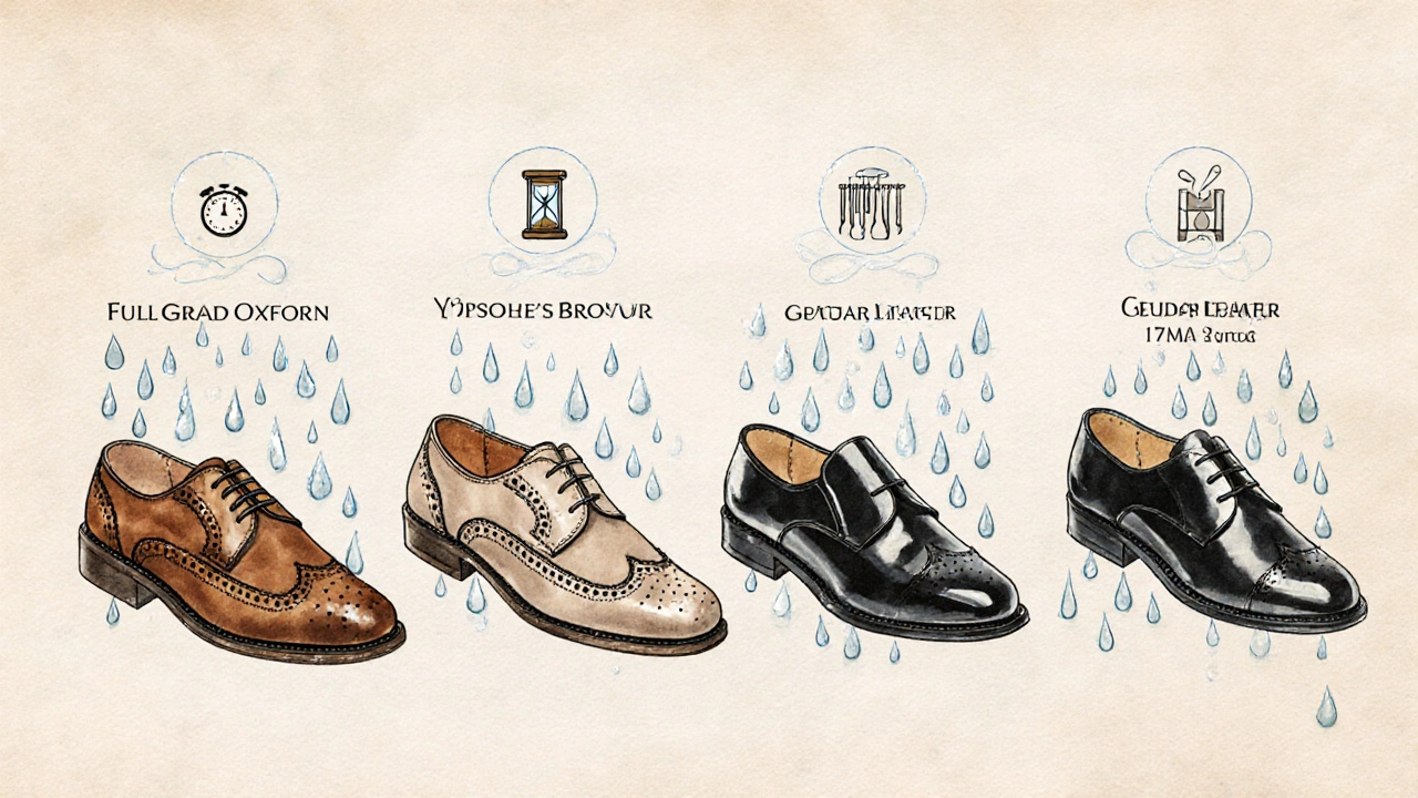 Illustration of four shoe types (full‑grain, top‑grain, suede, patent) with water droplets and drying icons.